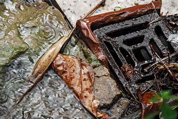 Drain Cleaning and Blockage Solutions